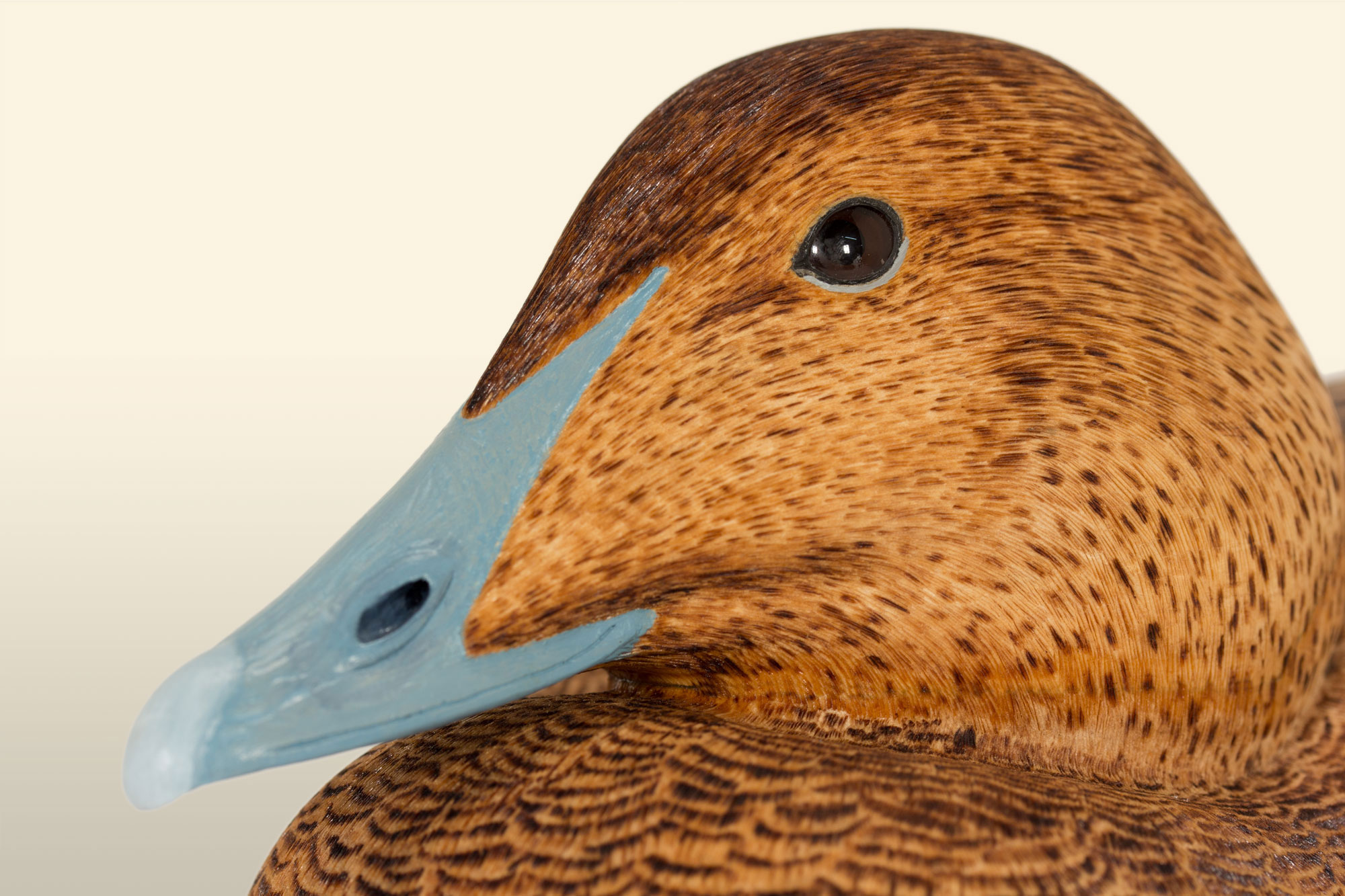 Eider hen, unpainted bird carving, by Feathercarver David Patrick-Brown