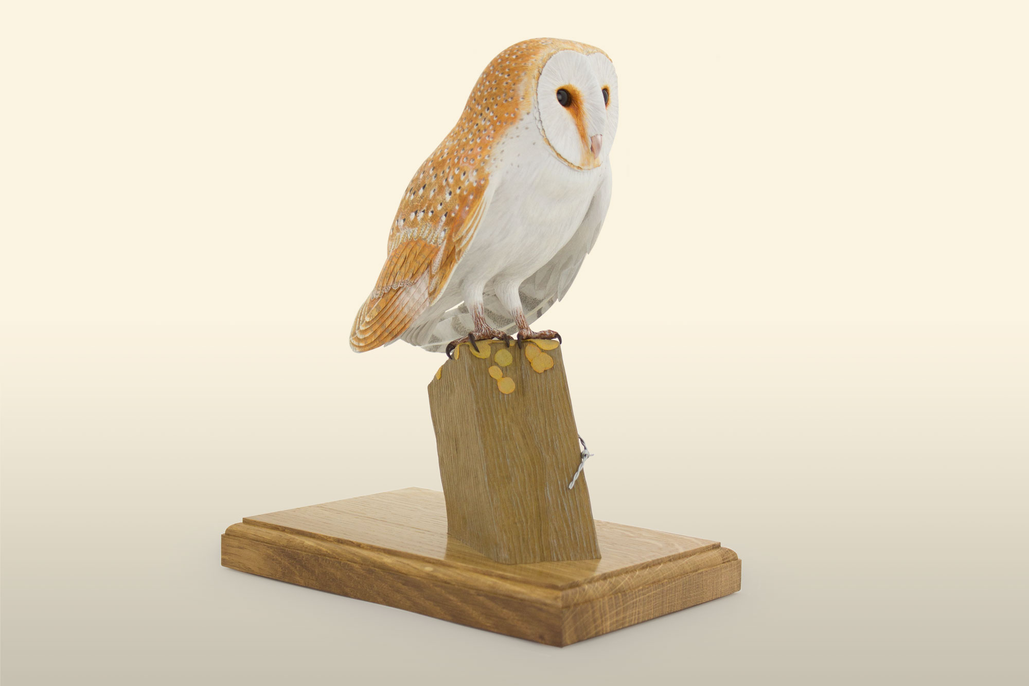 Barn owl bird carving, by Feathercarver David Patrick-Brown