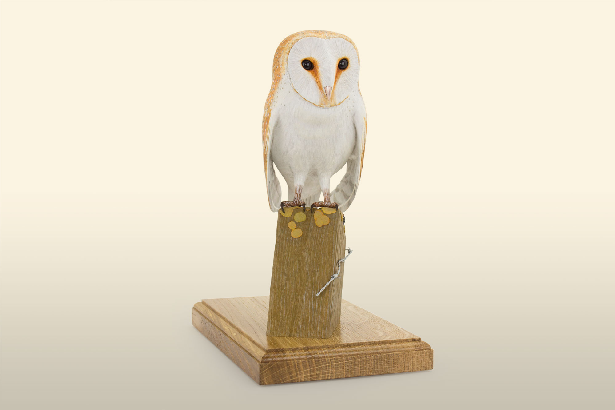 Barn owl bird carving, by Feathercarver David Patrick-Brown